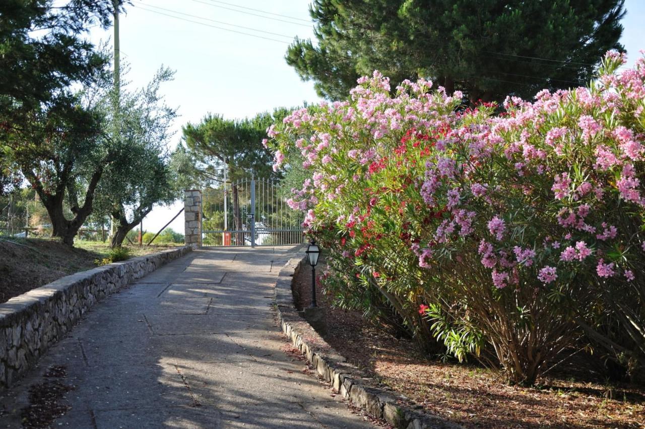 Villa Gualdo Piscina Vista Mare Capoliveri  Exterior photo